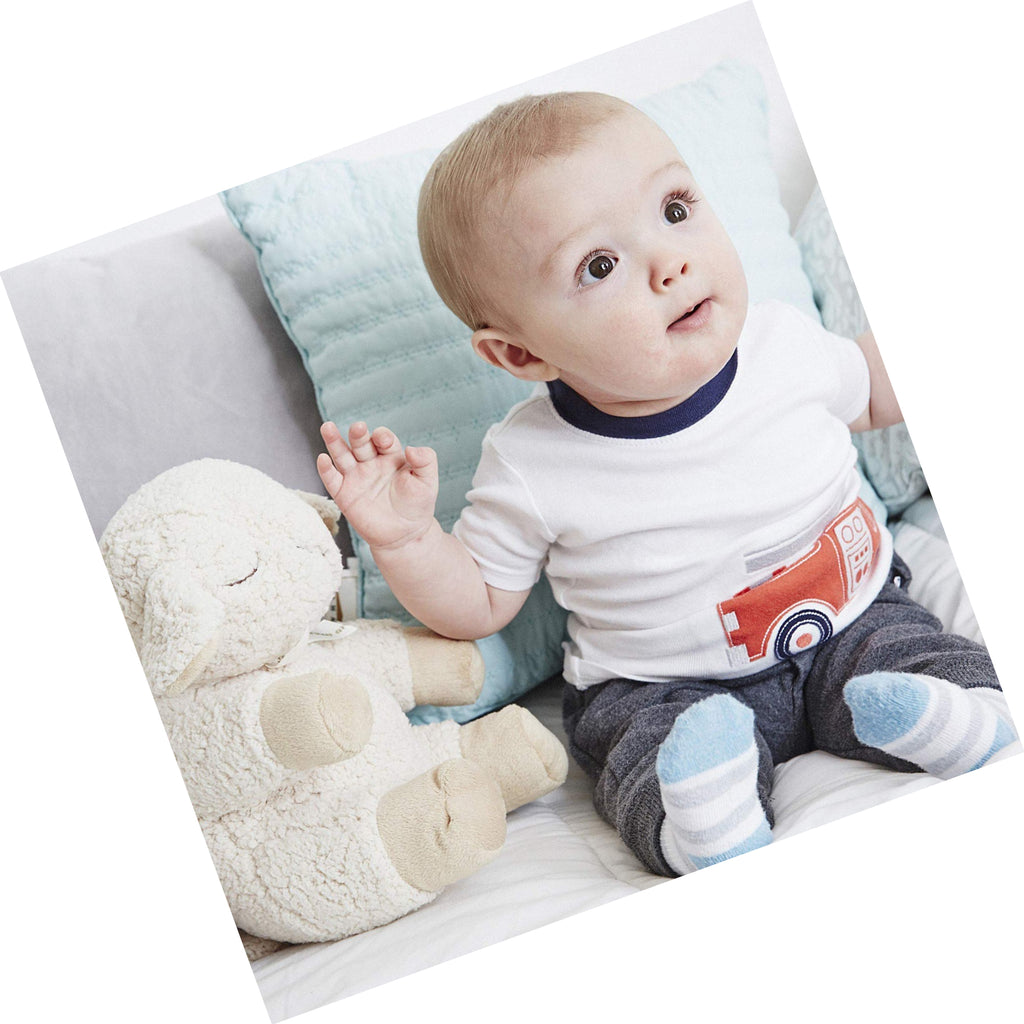  Cloud b Sound Machine with White Noise Soothing Sounds, Cuddly  Stuffed Animal, Adjustable Settings and Auto-Shutoff