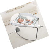 Fisher-Price Auto Rock n Play Sleeper, Aqua Stone