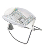Fisher-Price Auto Rock n Play Sleeper, Aqua Stone