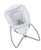 Fisher-Price Auto Rock n Play Sleeper, Aqua Stone