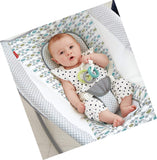 Fisher-Price Auto Rock n Play Sleeper, Aqua Stone